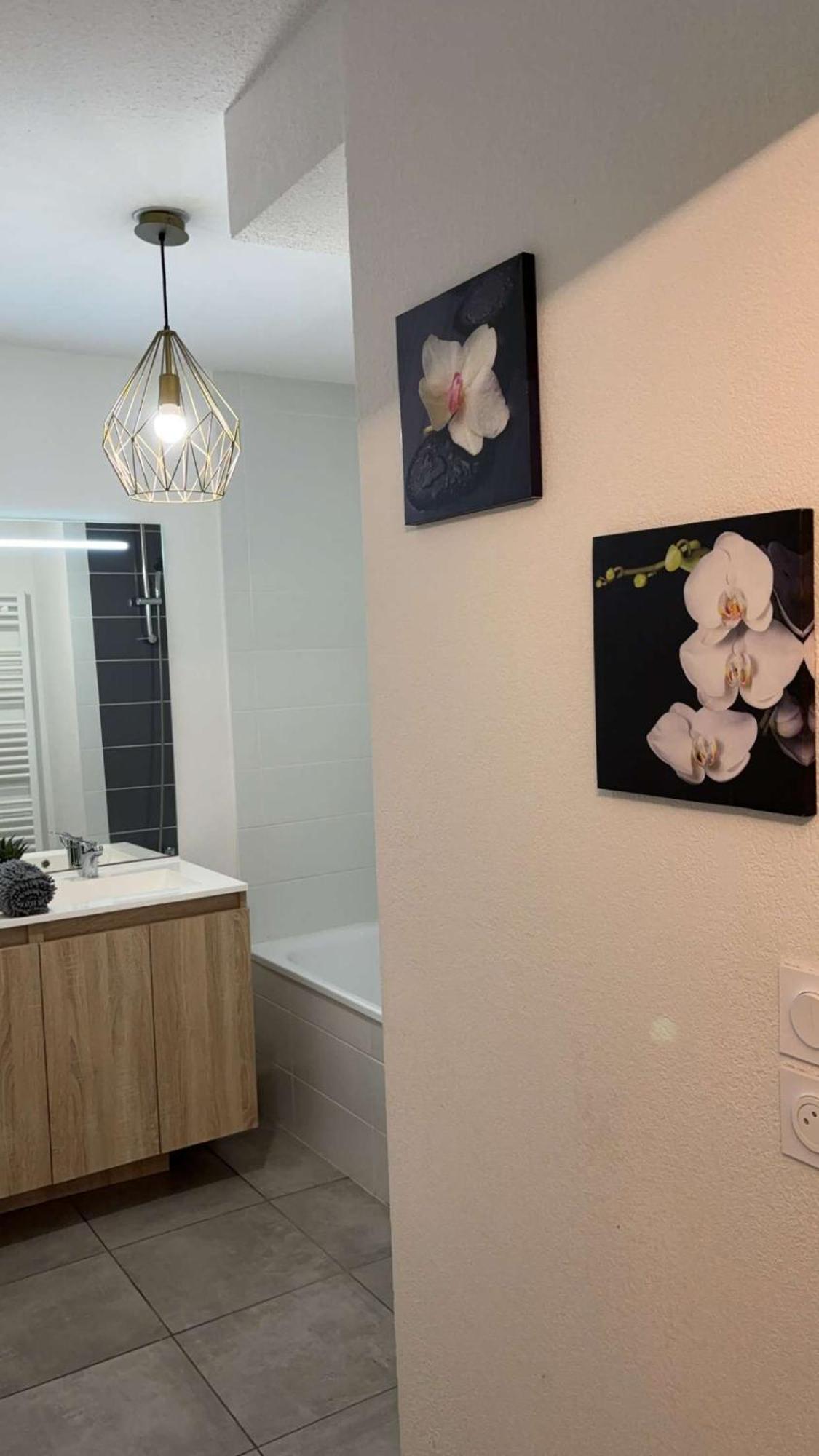 Suite Jacuzzi "Spa Privatif " Appartement Jacuzzi Toulouse Buitenkant foto