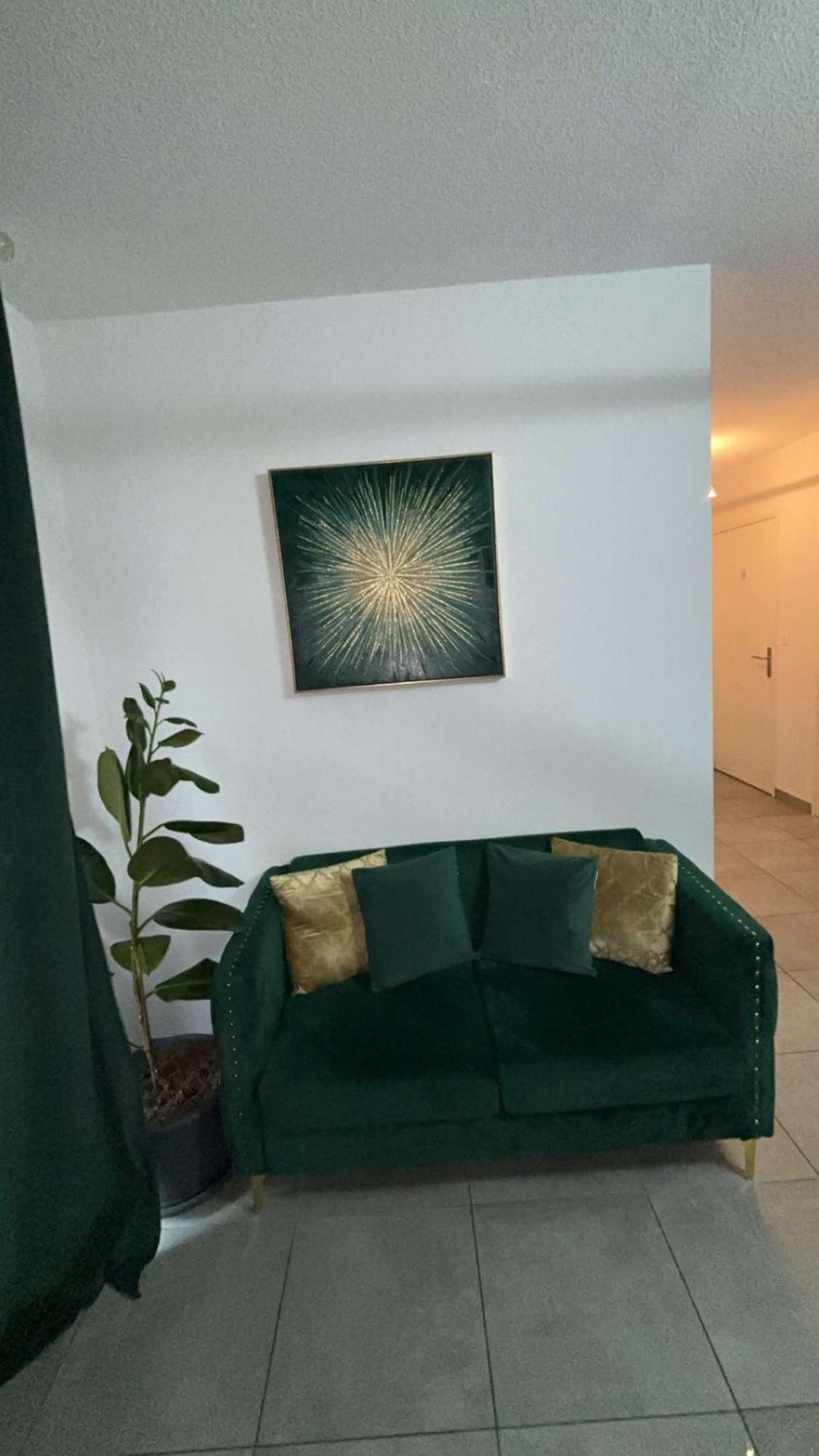 Suite Jacuzzi "Spa Privatif " Appartement Jacuzzi Toulouse Buitenkant foto