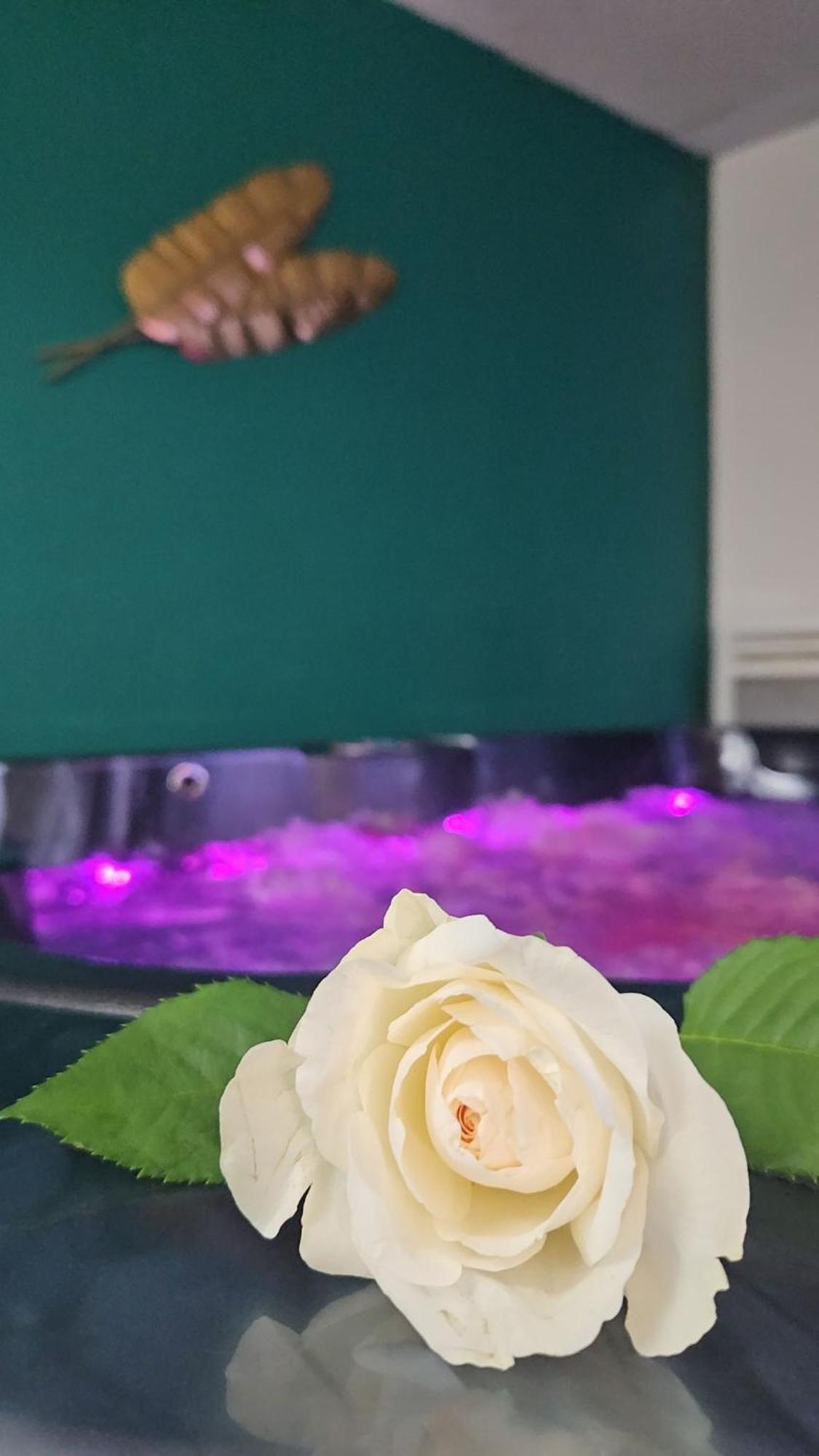 Suite Jacuzzi "Spa Privatif " Appartement Jacuzzi Toulouse Buitenkant foto