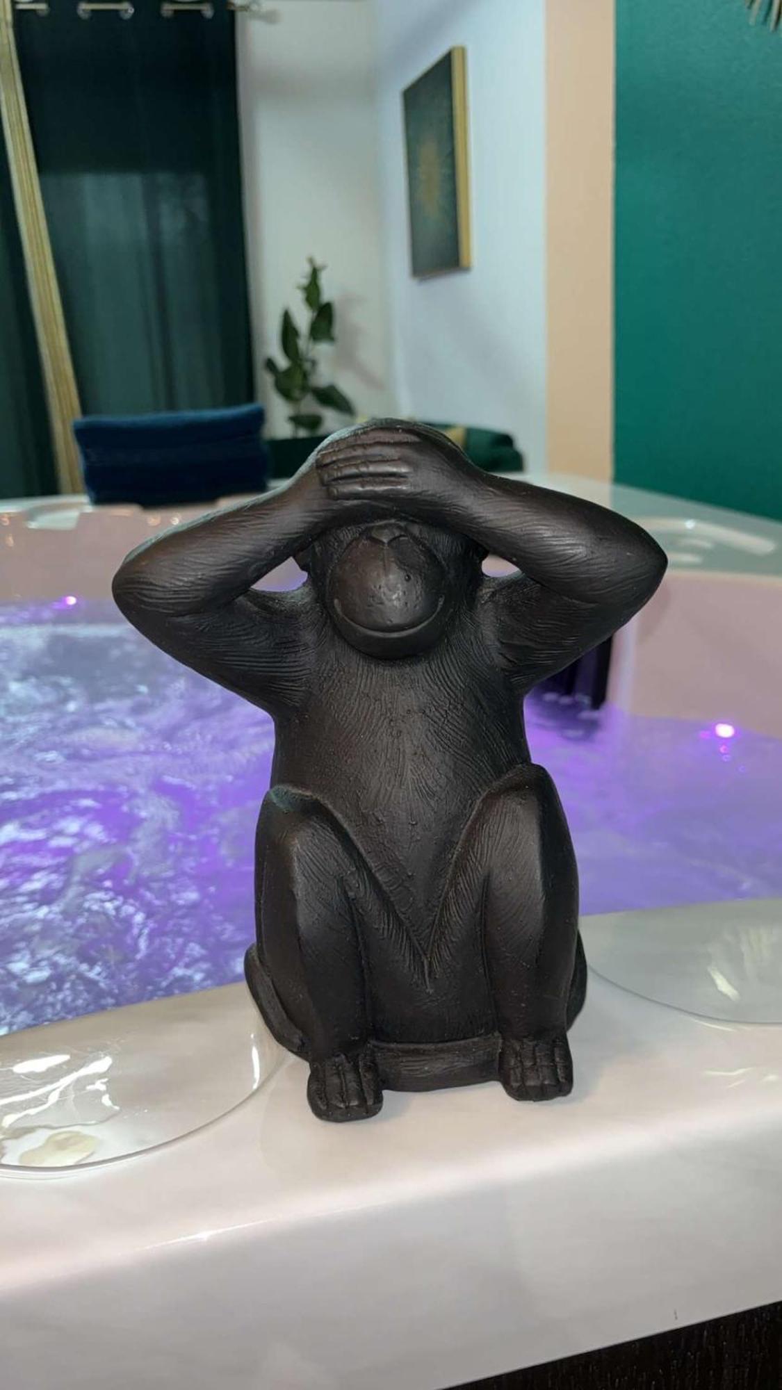 Suite Jacuzzi "Spa Privatif " Appartement Jacuzzi Toulouse Buitenkant foto