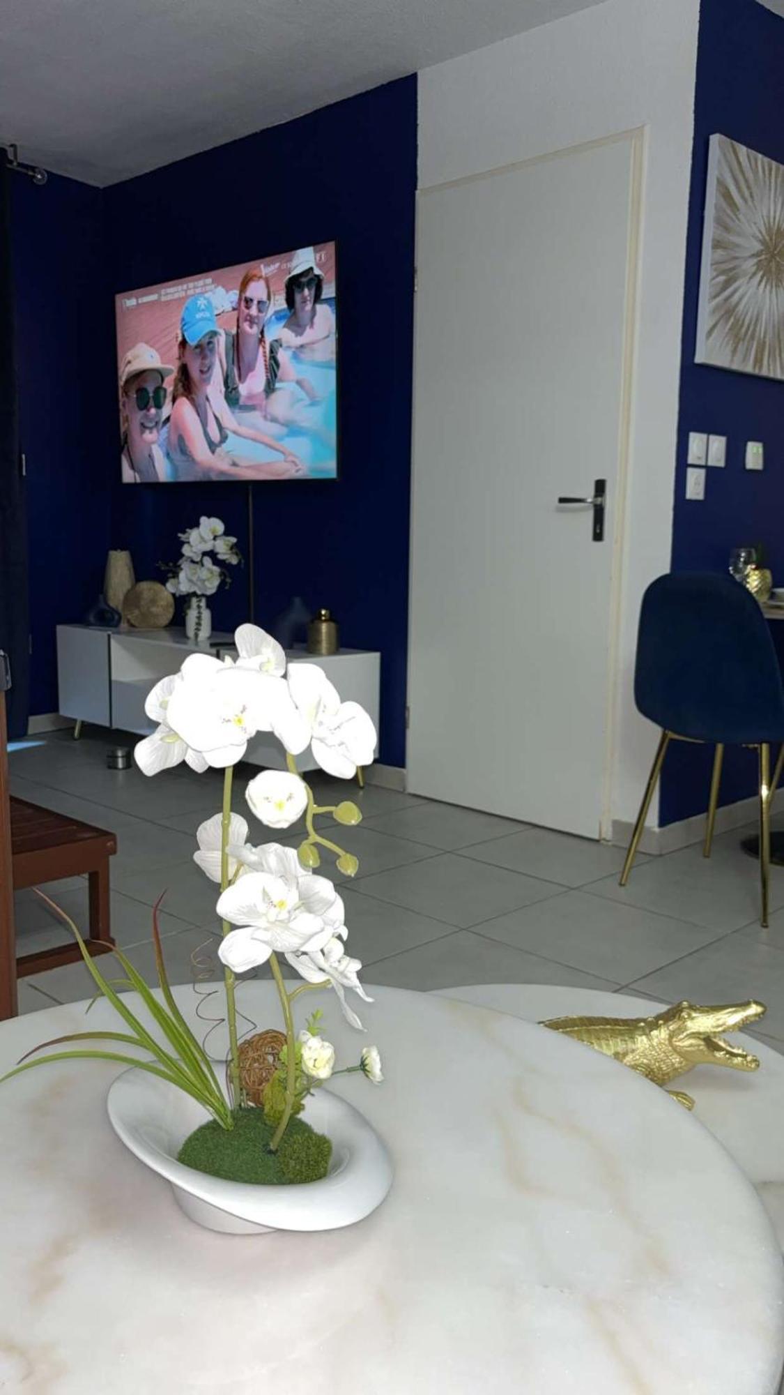 Suite Jacuzzi "Spa Privatif " Appartement Jacuzzi Toulouse Buitenkant foto