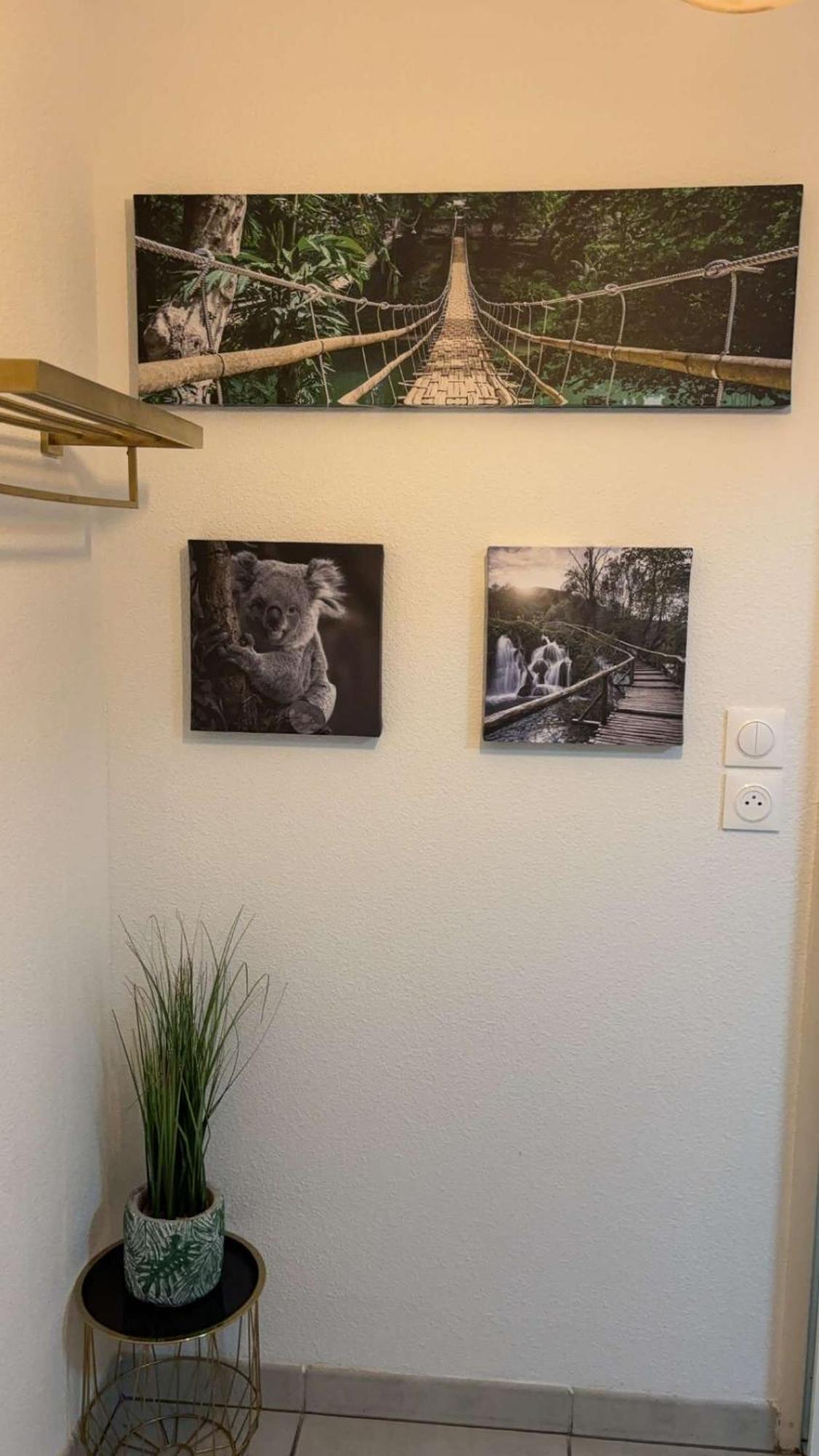 Suite Jacuzzi "Spa Privatif " Appartement Jacuzzi Toulouse Buitenkant foto